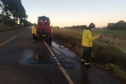​Em dois dias bombeiros combatem incêndio em beira de rodovia