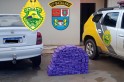​Ao passar por Marmeleiro, gaúcho se confunde e policias encontram 115 kgs de maconha