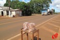 Vendedores se instalam a beira da rodovia para vender as sementes. Foto: www.campoere_1.com