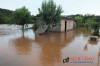 Chuva deixa centenas desalojados Foto www.campoere_1.com (63)