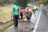 Mais um grave acidente na SC 160. Fotos www.campoere_1.com (3)