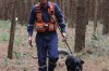 ​Em busca a pessoa desaparecida, cão do corpo de bombeiros morre afogado
