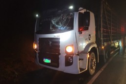 ​Azar – Caminhão é atingido por arvore enquanto transitava pela 163 em Itapiranga
