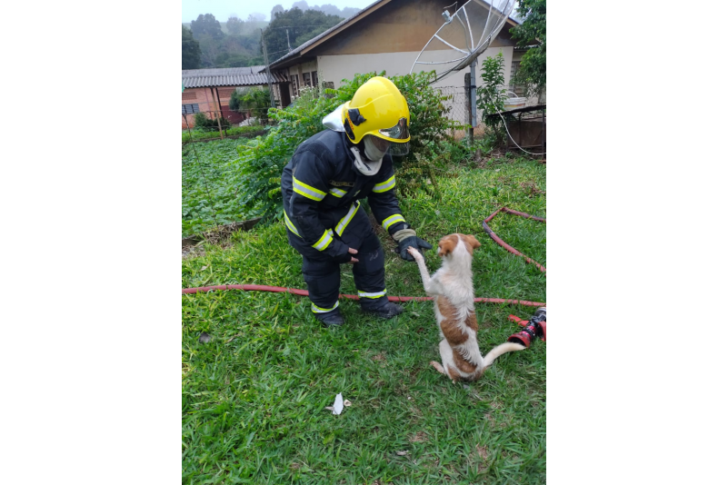 ​Homem é encontrado carbonizado em incêndio no interior de Quilombo