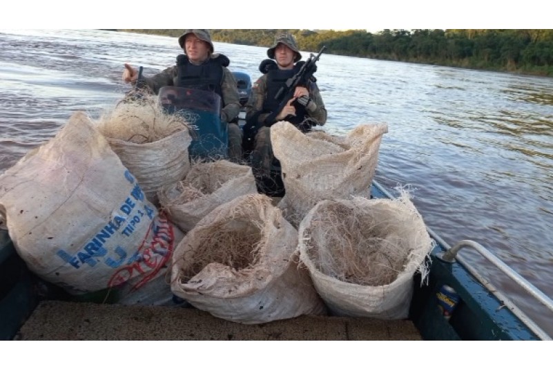 ​Operação da PMA apreende redes e devolve peixes no rio Uruguai