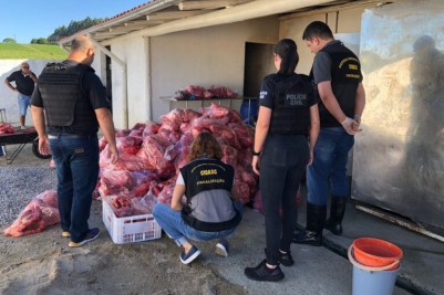 ​Três toneladas de carne foi apreendida em abatedouro clandestino